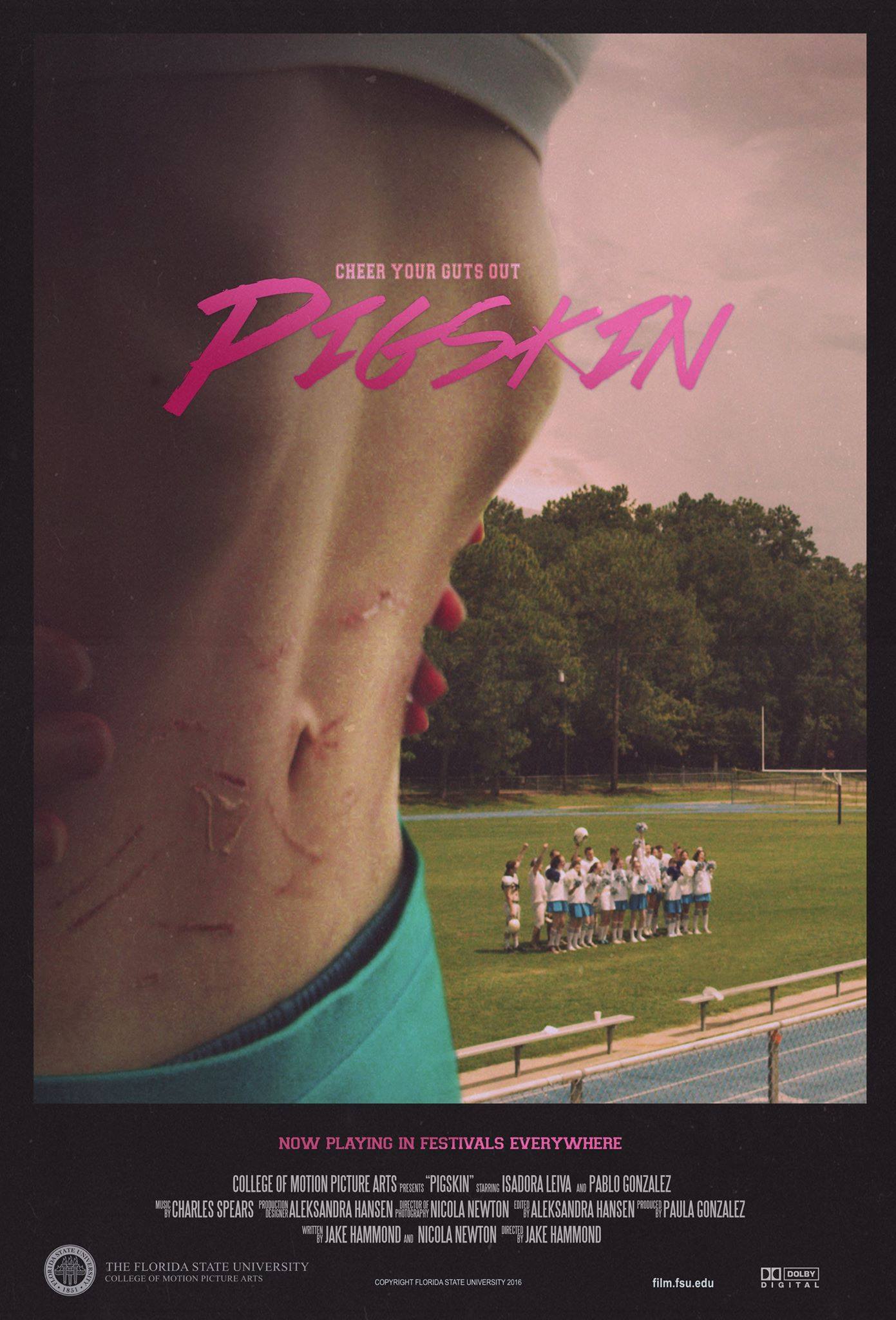 постер Pigskin
